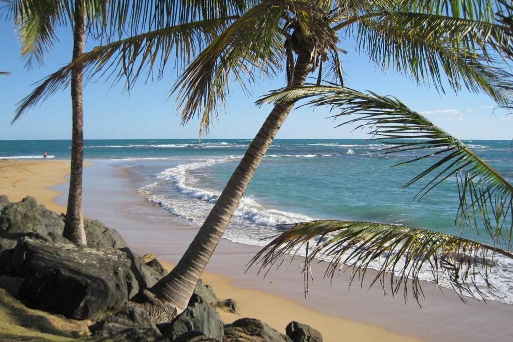 Comfortable And Affordable Deal Close To Beach And Rainforest 리오그란데 외부 사진